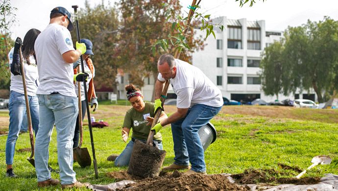 image of ALC employees work with TreePeople organization 