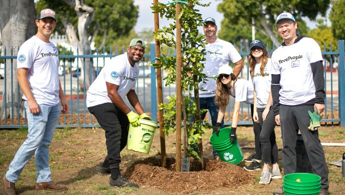 image of ALC employees work with TreePeople organization
